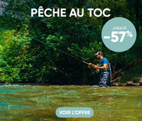 P&ecirc;che au toc